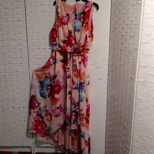 Ashley Stewart NWT